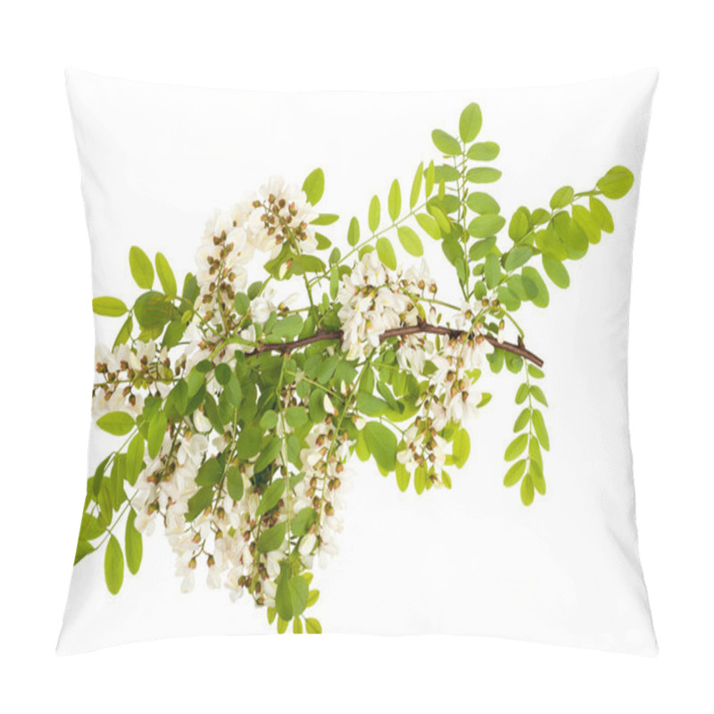 Personality  Black Locust Pillow Covers