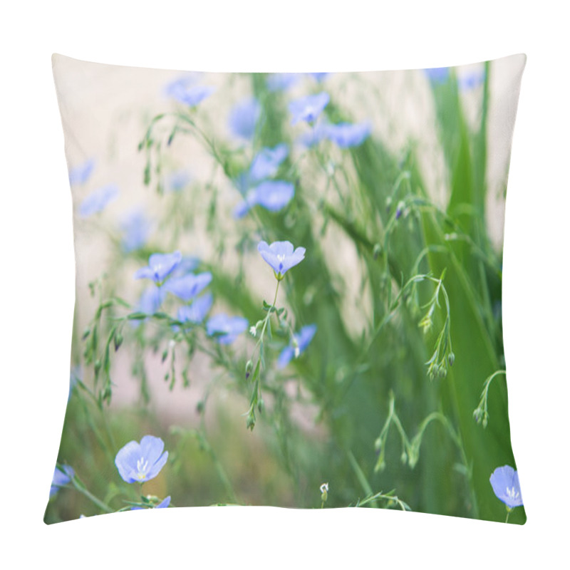 Personality  Background Of Blooming Blue Flax In A Farm Field Pillow Covers