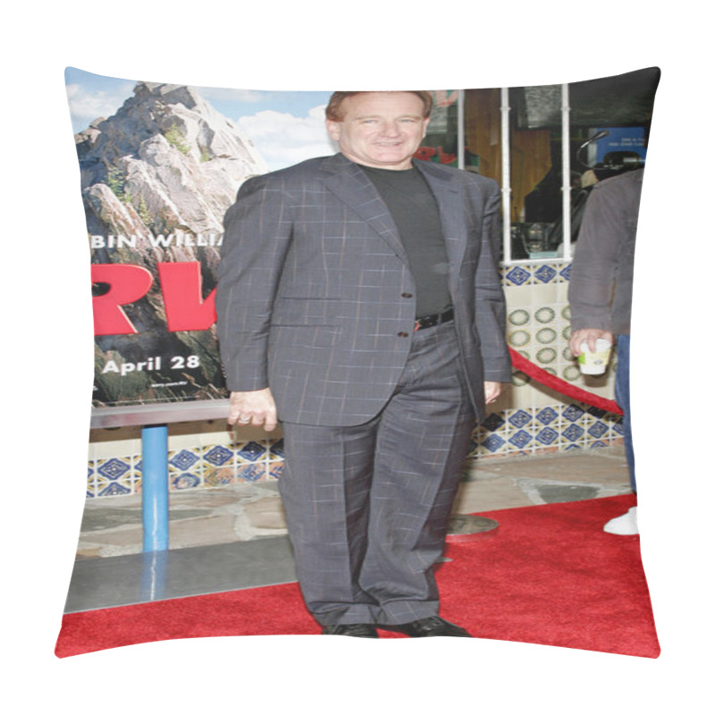 Personality  Actor Robin Williams Pillow Covers