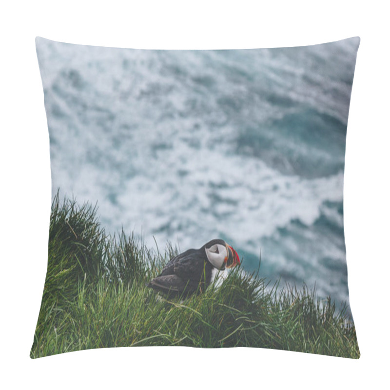 Personality  Bird Pillow Covers