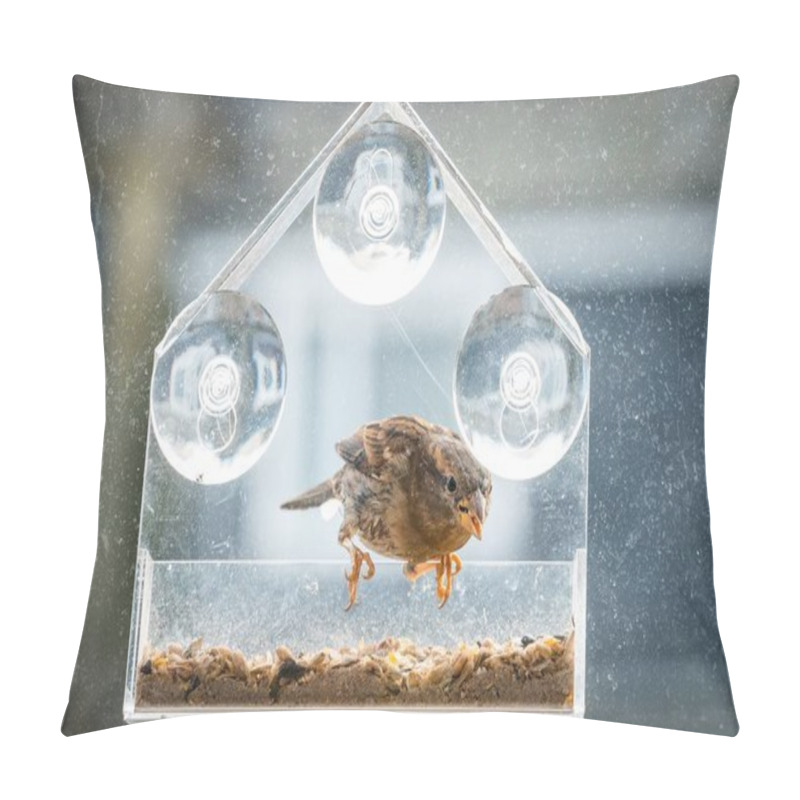 Personality  A Bird On A Transparent House-shaped Birdfeeder Stuck On The Window With Suction Cups Pillow Covers