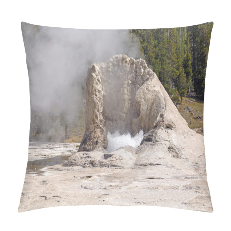 Personality  Limestone Cone Of An Active Geyser Pillow Covers