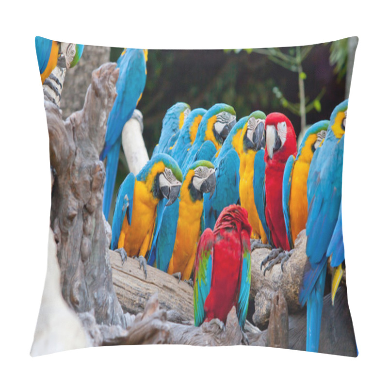 Personality  Scarlet Macaw Pillow Covers