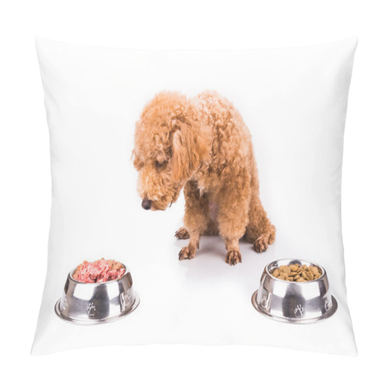 Personality  Poodle Dog Choosing Between Raw Meat Or Kibbles As Meal Pillow Covers