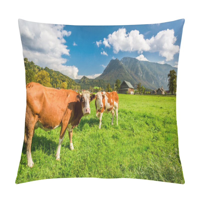 Personality  Cows On Pasture In The Alps Pillow Covers