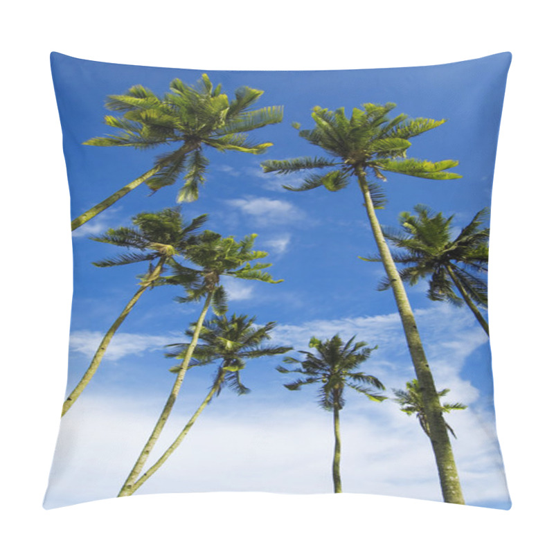 Personality  Palm Trees Pillow Covers