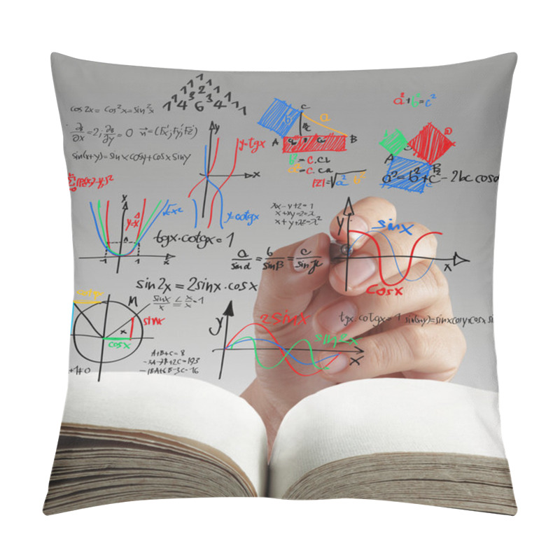 Personality  Maths And Science Formula On Whiteboard Pillow Covers