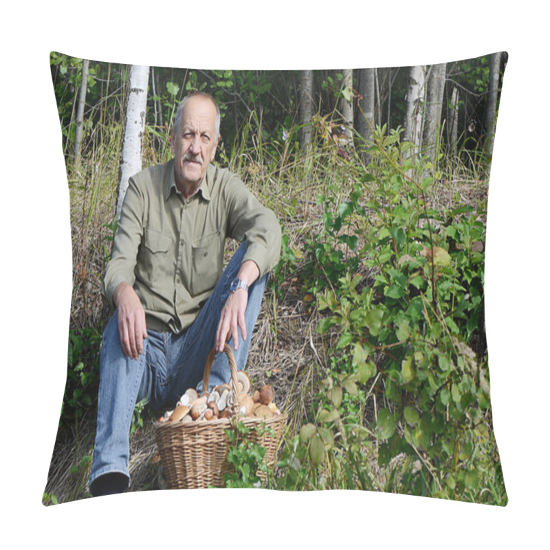 Personality  Basket With Boletus Edulis On Grass Pillow Covers