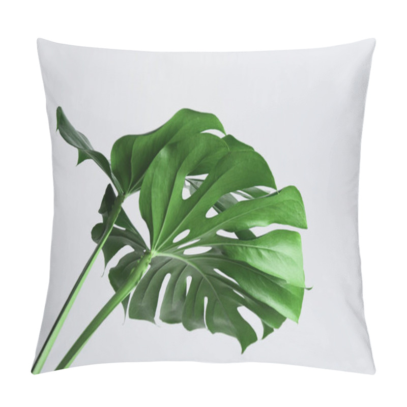 Personality  Beautiful Monstera Leaves On White Background. Tropical Plant Pillow Covers