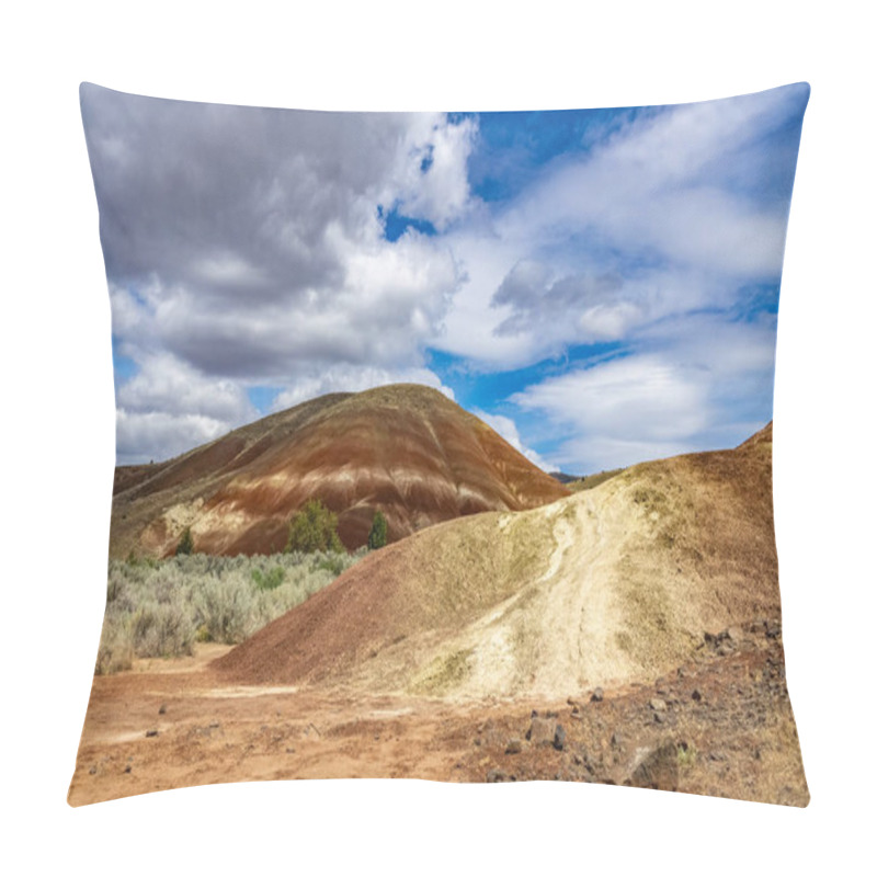 Personality  Sedimentary Rocky Hills In Central Oregon Desert, Painted Hills, Pillow Covers