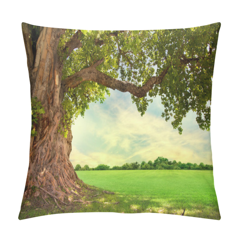 Personality  Green Tree Nature Landscape Pillow Covers