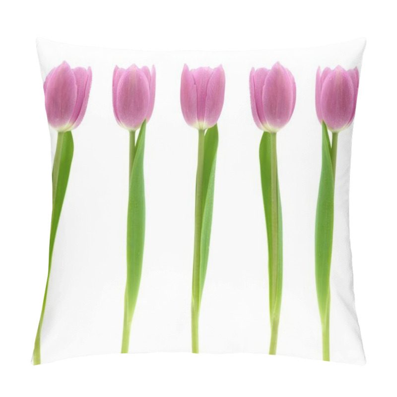 Personality  Pink Tulips Pillow Covers