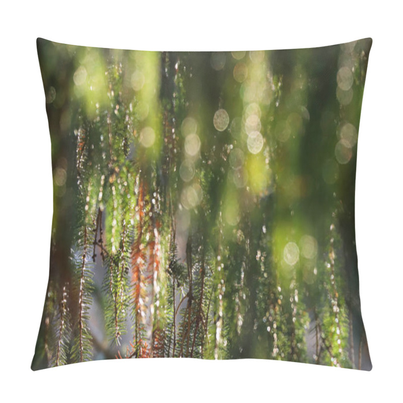 Personality  Leaves On Pine Tree At Christmastime In Natural Pine Forest  Pillow Covers