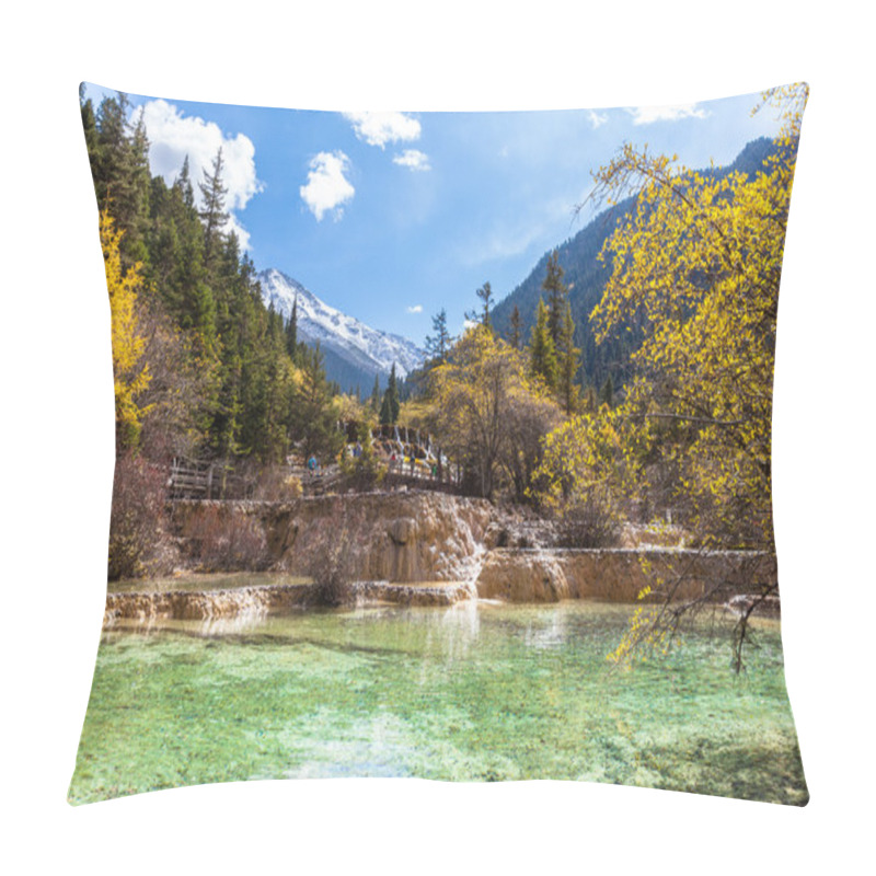 Personality  Huanlong National Park In Sichuan Province, China Pillow Covers