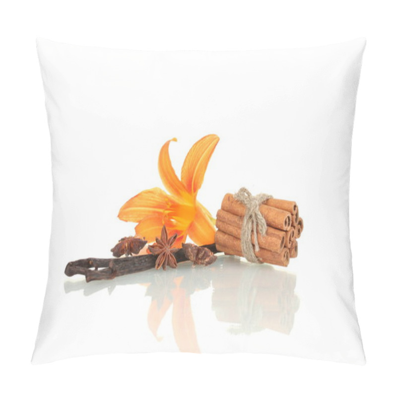 Personality  Vanilla Pods With Spices Isolated On White Pillow Covers