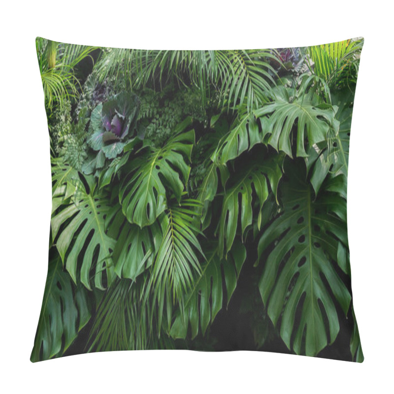 Personality  Green Tropical Leaves Of Monstera, Fern, And Palm Fronds The Rainforest Foliage Plant Bush Floral Arrangement On Dark Background, Natural Leaf Texture Nature Background. Pillow Covers