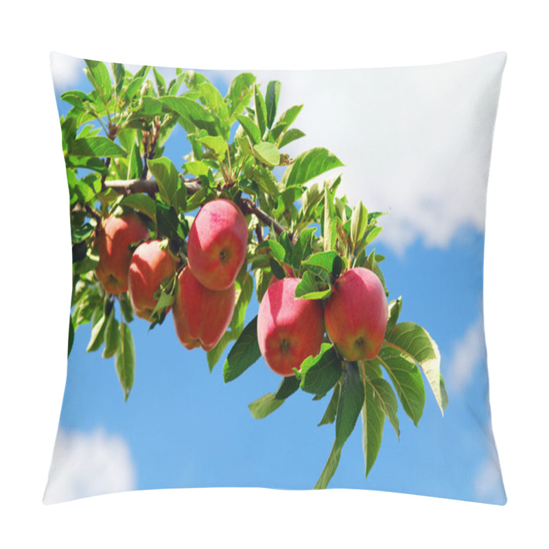 Personality  Apples On A Branch Pillow Covers