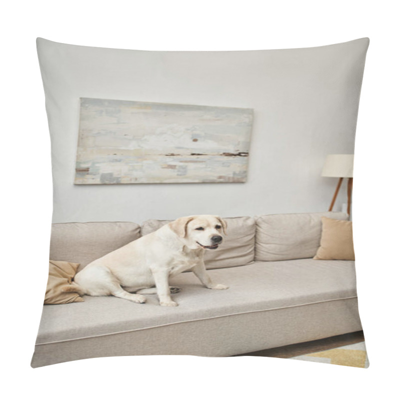 Personality  Animal Companion, Labrador Sitting On Comfortable Sofa In Living Room Inside Of Modern Apartment Pillow Covers