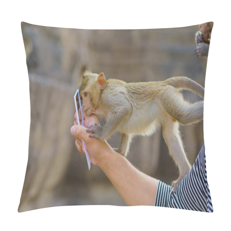 Personality  Monkey Or Crab-eating Macaque Looking Mirror At Phra Prang Sam Yod Lop Buri, Thailand. Pillow Covers