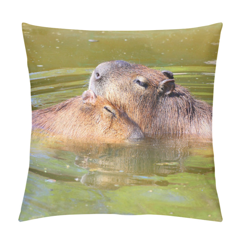 Personality  Love Making Couple Of The Capybara Pillow Covers