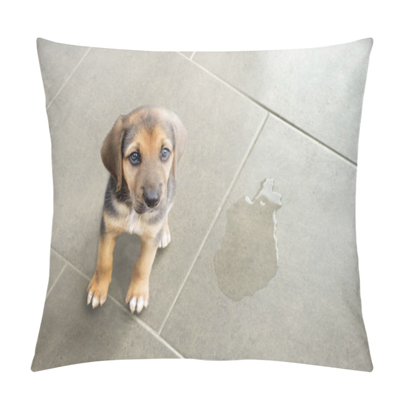 Personality  Cute Puppy Sitting Near Wet Spot Pillow Covers