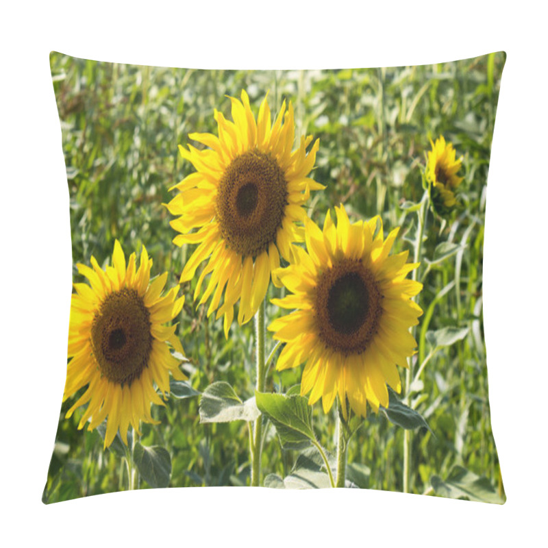 Personality  Tree Sunflower Pillow Covers