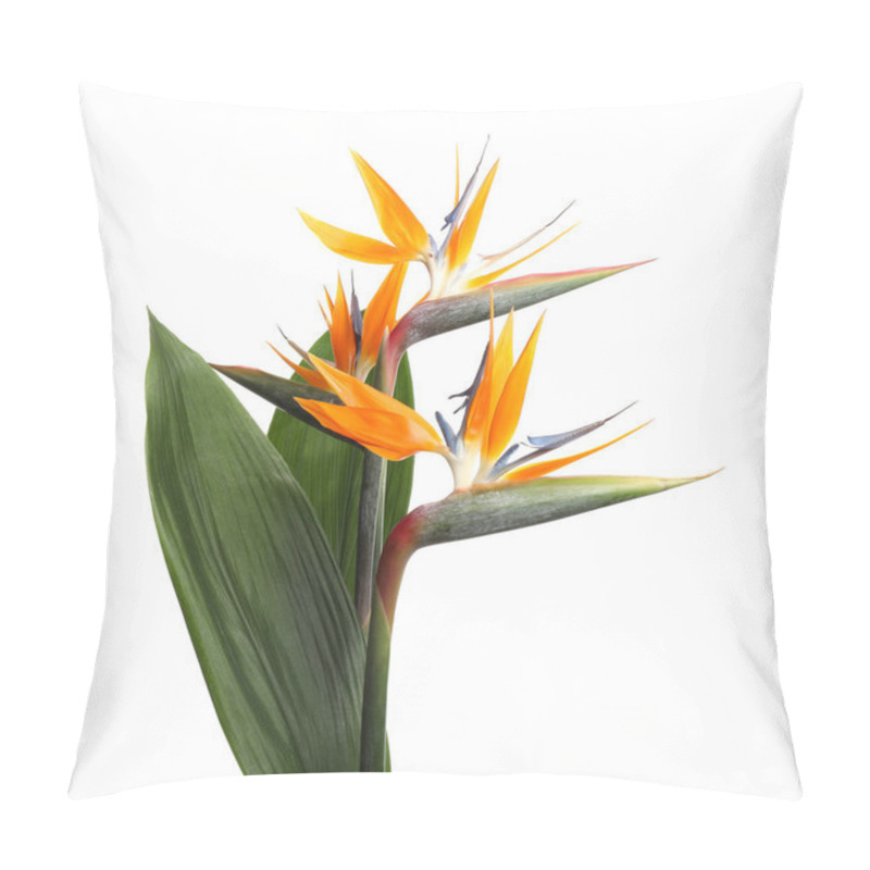 Personality  Bird Of Paradise Tropical Flowers Isolated On White Pillow Covers