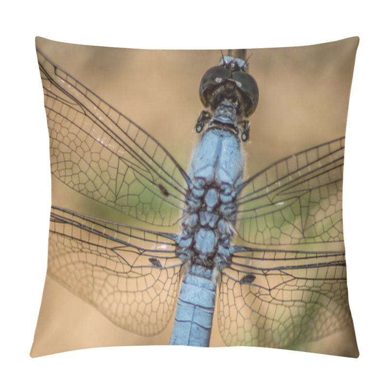 Personality  A Closeup Shot Of The Wings Of A Blue Dragonfly Pillow Covers