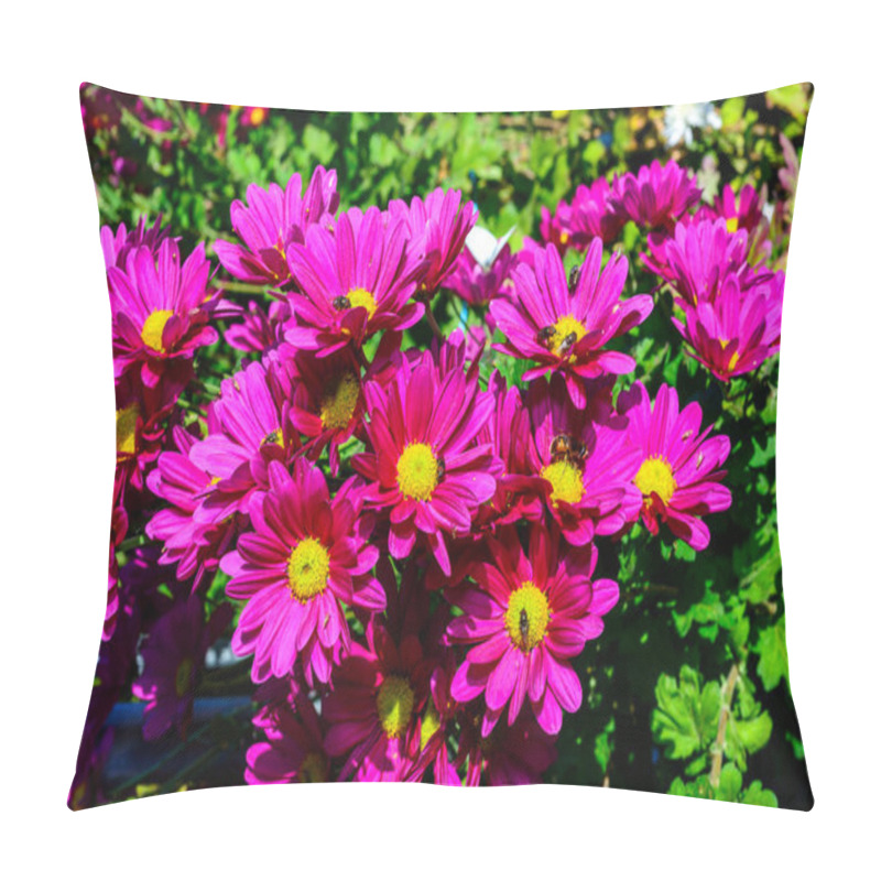 Personality  Flower Fly Hoverfly Collects Nectar On Autumn Flowers Chrysanthemum In The Garden Pillow Covers