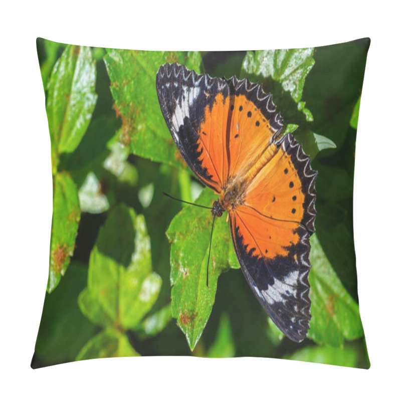 Personality  Leopard Lacewing - Cethosia Cyane, Beautiful Orange And Red Butterfly From East Asian Forests, Malaysia. Pillow Covers