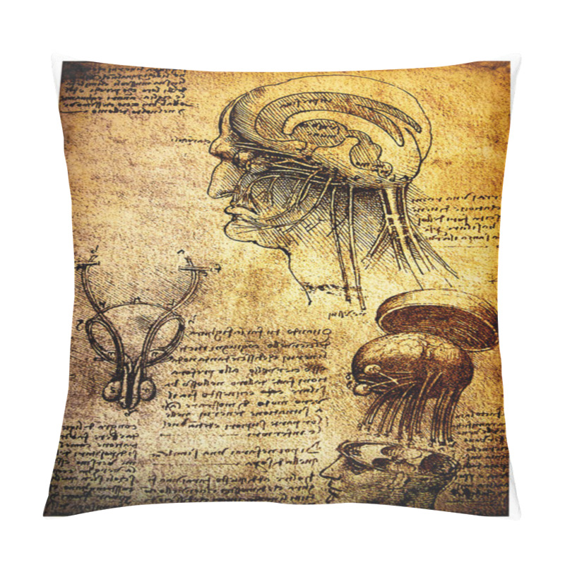 Personality  Ancient Anatomical Drawings By Leonardo DaVinci Pillow Covers