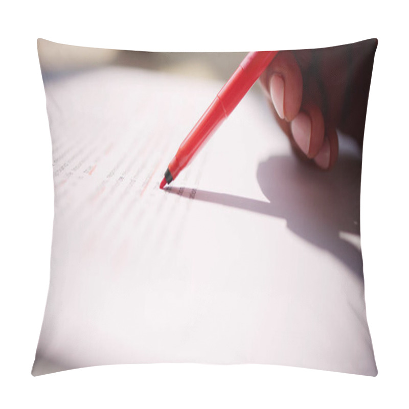 Personality  Book Script Or Text Grammar Edit And Spelling Correction Pillow Covers