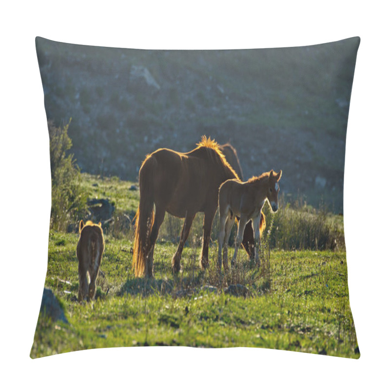 Personality  Russia. South Of Western Siberia. Mountain Altai. Lit By The Dawn Sun, Horses With Foals Graze Peacefully In The Early Morning On The Mountain Slopes Near The Village Of Ongudai. Pillow Covers