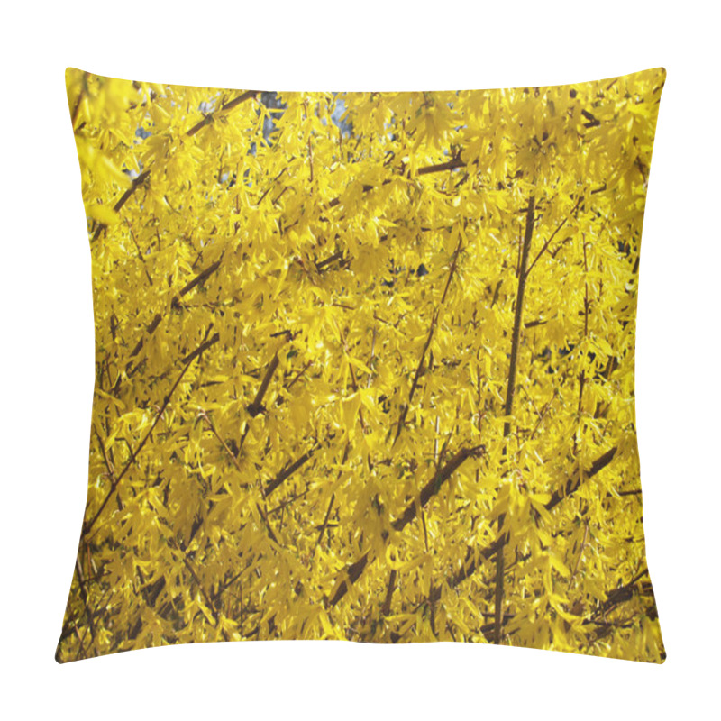 Personality  Yellow Blossoms Of Forsythia Bush Pillow Covers