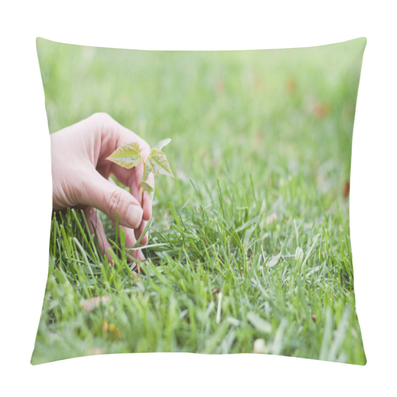 Personality  Hand Holding A Small Tree Over Green Pillow Covers