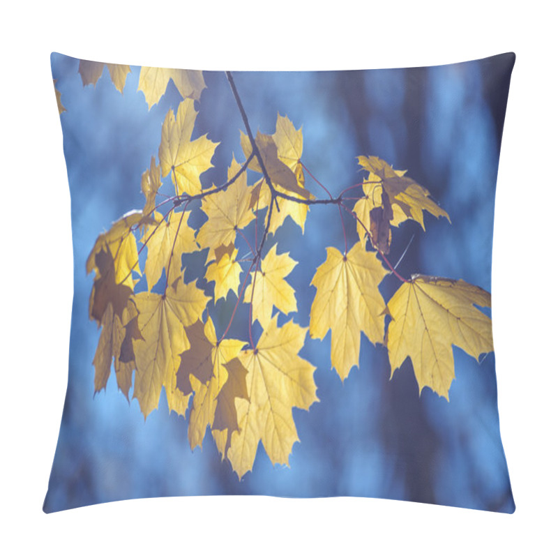 Personality  Leaf Pillow Covers