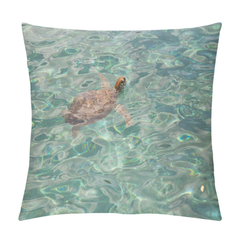 Personality  View Of Sea Turtle In Seawater Pillow Covers