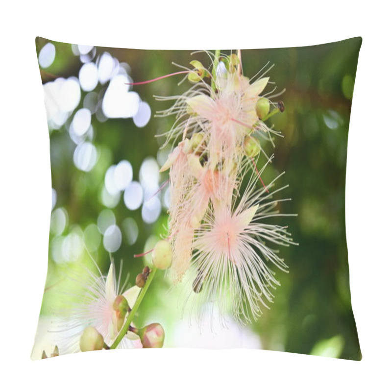 Personality  This Taiwanese Native, Barringtonia Racemosa, Showcases Clusters Of White Blossoms That Dazzle Like Fireworks At Night, Embodying Tropical Elegance. Pillow Covers