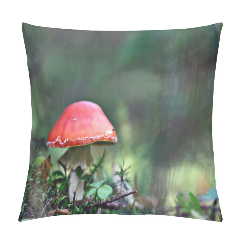 Personality  Red Fly Agaric Pillow Covers