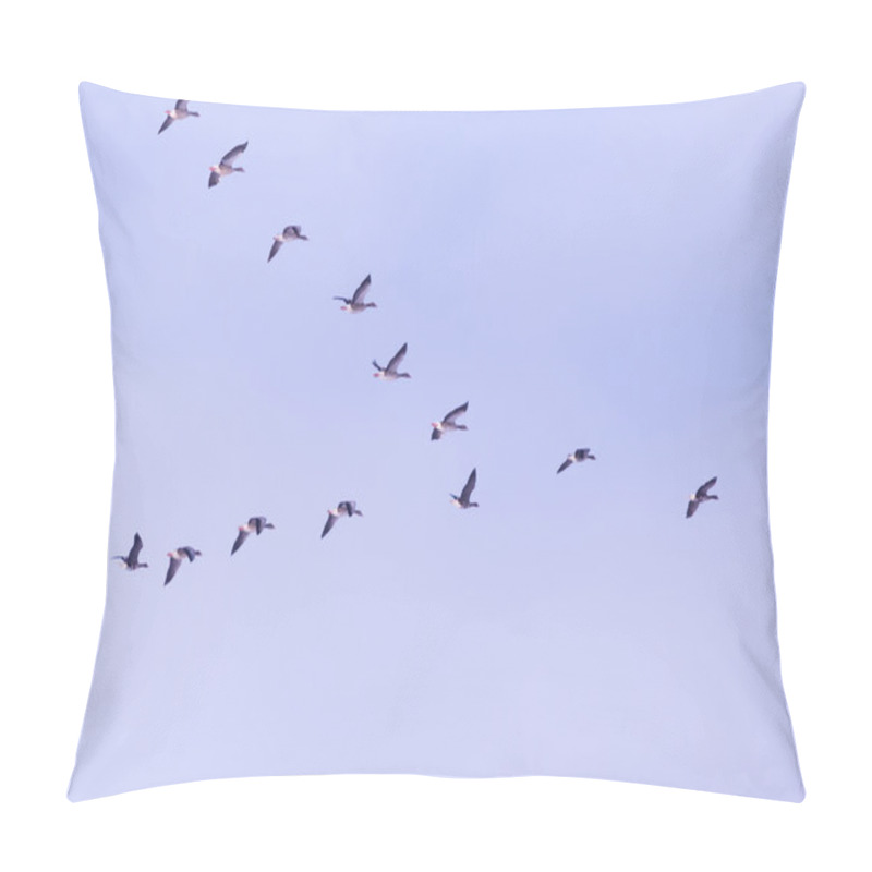 Personality  Flock Of Migrating Bean Geese Pillow Covers