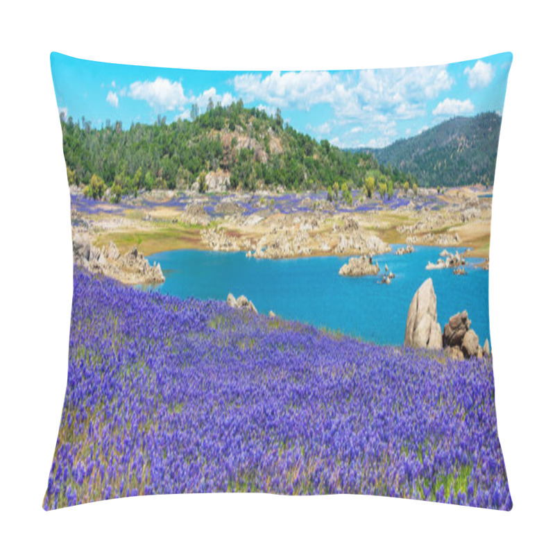 Personality  Panoramic Scenic View. Purple Fields Of Wildflower Lupines Super Bloom On The Scenic Shore Of Drained Folsom Lake, California. Pillow Covers