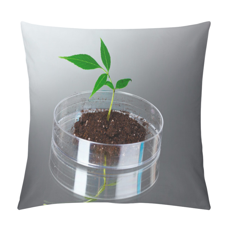 Personality  Genetically Modified Plant Tested In Petri Dish Pillow Covers