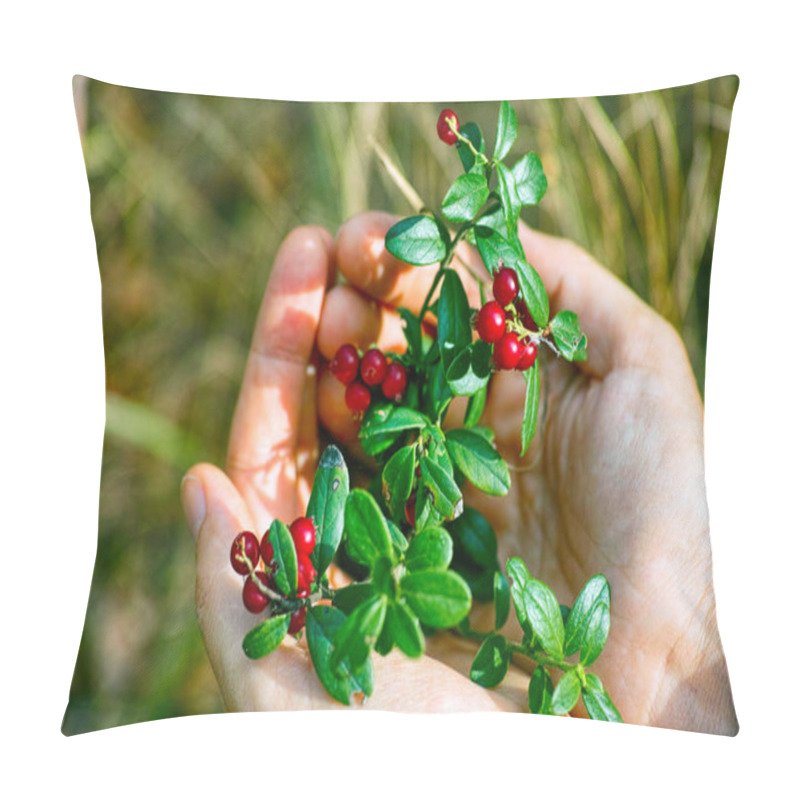 Personality  Cowberries Twigs With Berries And Leaves In Woman Hands. Pillow Covers