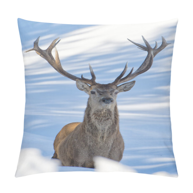 Personality  Deer On The Snow Background Pillow Covers