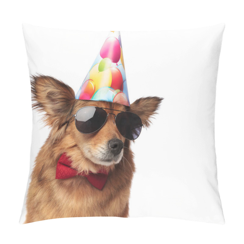 Personality  Close Up Of Cool Classy Dog Ready For Birthday Party Pillow Covers