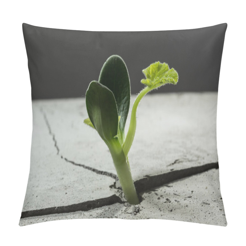 Personality  New Growing Life Pillow Covers