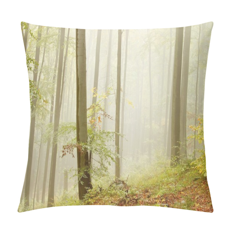 Personality  Beech Forest On The Mountain Slope Pillow Covers