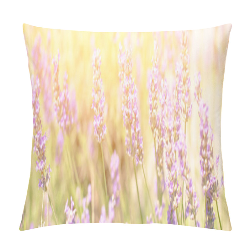 Personality  Lavender Bush. Long Wide Banner With Bright Sunlight Pillow Covers