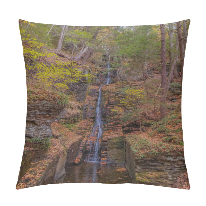 Personality  Dingmans Falls Waterfall In The Poconos Mountains , Pennsylvania US. Pillow Covers