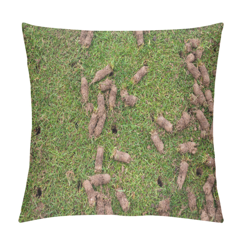 Personality  Detail Of Soil Rolls On The Lawn After Aeration With Empty Pins  Pillow Covers